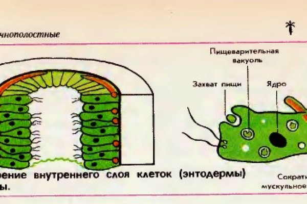 Тор blacksprut 1blacksprut me