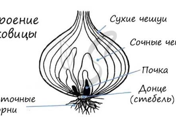 Блэкспрут сайт даркнет ссылка