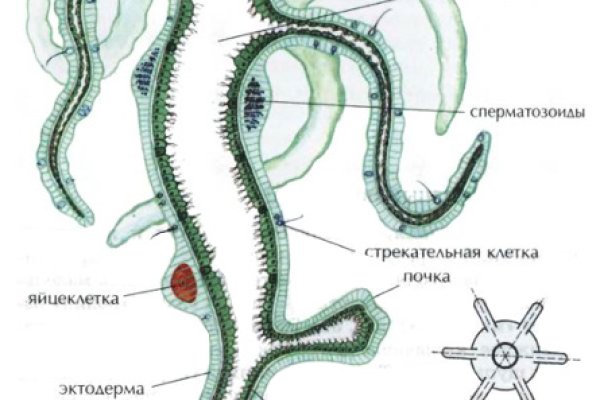 Требует 2fa blacksprut код