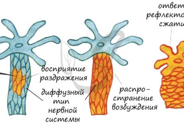 Блэкспрут сайт bs2onion org